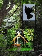 Mount Tutu Eco Sanctuary Nature Retreat!