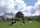 Thorngarth Country Guest House Ingleton Yorkshire Dales