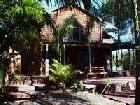 Planula in Byron Bay