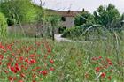 Etruscan Coast, Castagneto Carducci/LI B&B Loc. Ghiacci