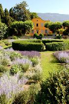 Pavillon de Galon, B&B in Provence, Lubron