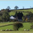 The Old Dairy Bed and Breakfast