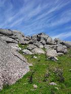 Wake up in the land of wild horses and wolves Quinta Rural