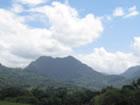 Coffee Mountain Inn, where rainforest meets river meets town