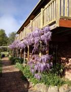 Wisteria Lodge B and B