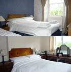 Sonata Guesthouse Kendal Accommodation