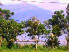 Villa Abang, Lake Batur