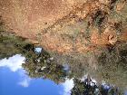 Charming Casal da Eira, Central Algarve