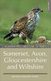 Where to Watch Birds in Somerset, Avon, Gloucestershire and Wiltshire