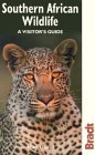 Southern African Wildlife
