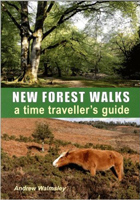 New Forest Walks